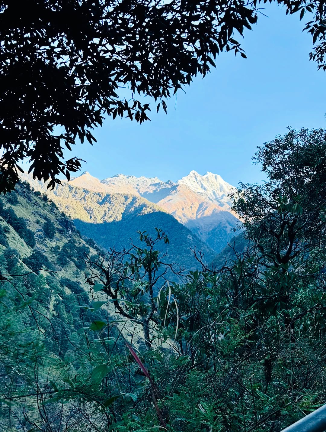 madhamaheshwar tour package